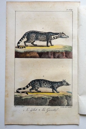 Lithographie 1825 c - lithographie,