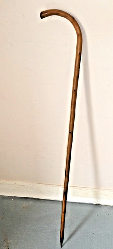 Canne marche bambou - canne, de