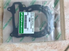 Joint De Culasse Pour BUGGY PGO Bugrider 250cm3 Neuf Piece d'origine 