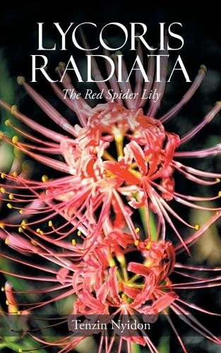 Tenzin nyidon lycoris radiata - tenzin,
