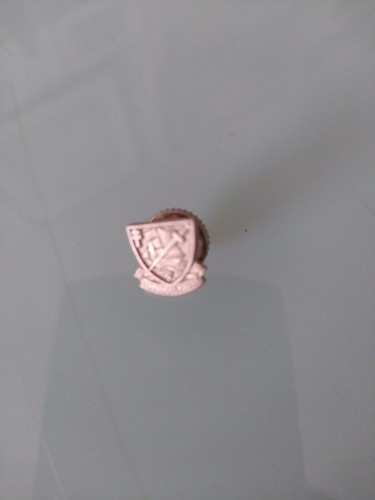 Pin réduction plaque - pin's,