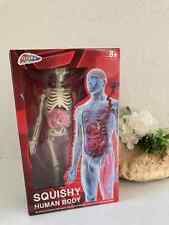 28 ⚜️ Toy Figure Skeleton Human Body New In Box 8+ H 34 Cm