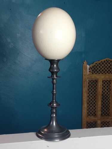 Oeuf autruche sur pied en - oeuf, d'autruche