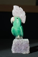 BEL OISEAU EXOTIQUE (