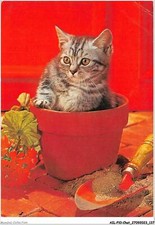 AILP10-1012 - CAT - cat in a pot