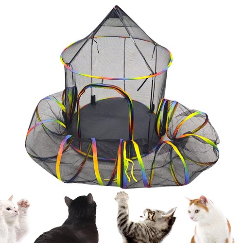 Tunnel tente pour chat - pour,