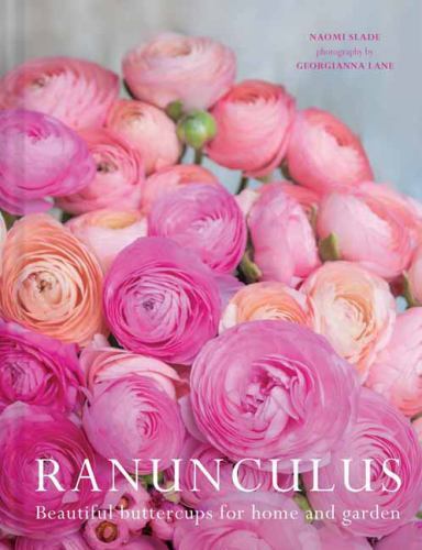 Ranunculus beautiful - ranunculus:,
