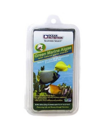 Ocean nutrition algues marines - ocean,