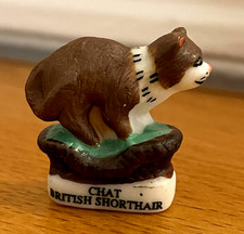 Rare Fève Mat CHAT British