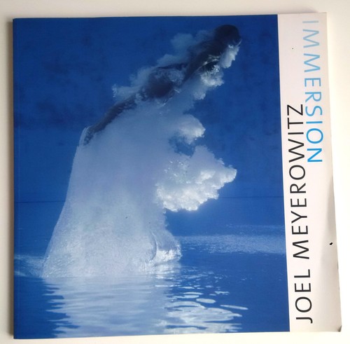 Joël meyerowitz immersions - joël,