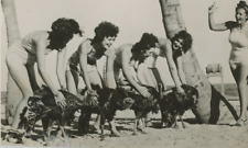 California, Turkey Race, 1939 Vintage Silver Print Silver Print  