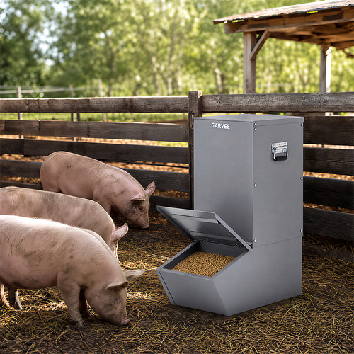 Steel hog feeder - hog,