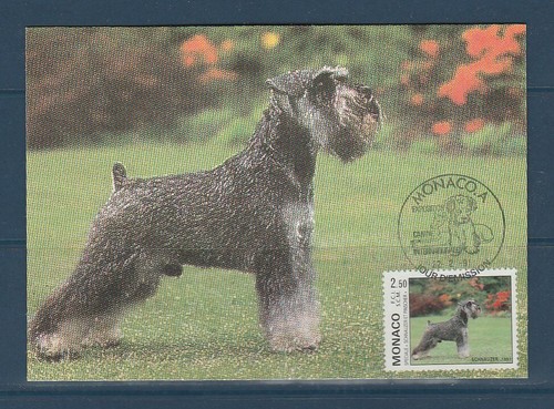 Monaco carte chien exposition - monaco,