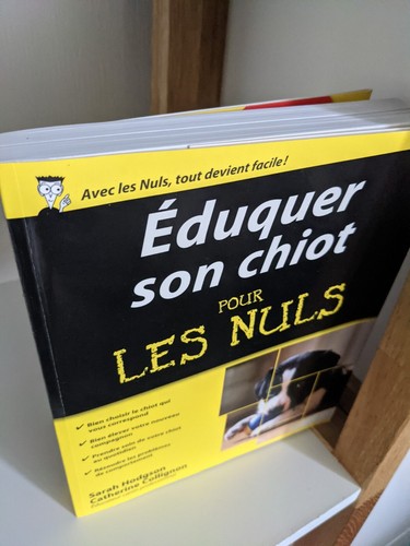 éduquer son chiot pour les - son,