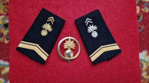 Insignes école militaire - insignes,