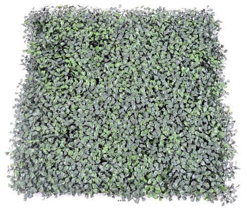 Plaque buis artificiel x - plaque, de