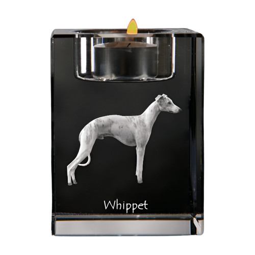 Whippet petit chien anglais - whippet,,