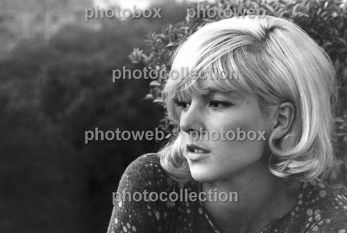 Sylvie vartan exclusive - sylvie,