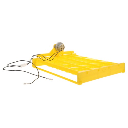 Couveuse poule incubateurs - couveuse,