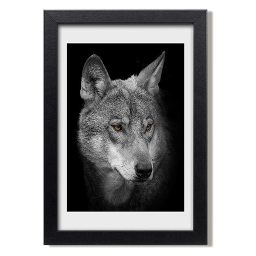 Tulup photo 20x30cm cadre - tulup,