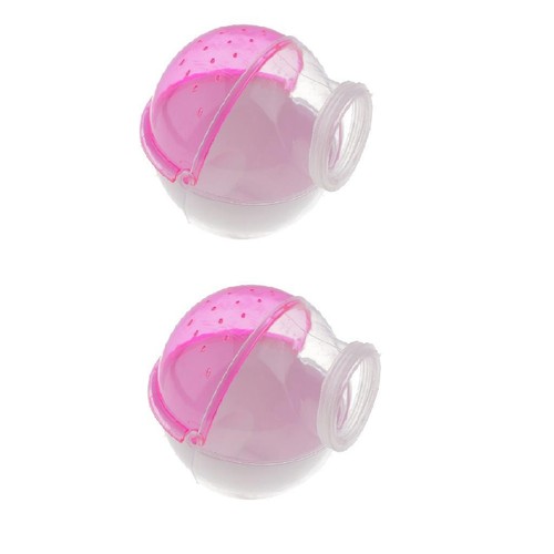 Pcs hamster souris petite - pcs,