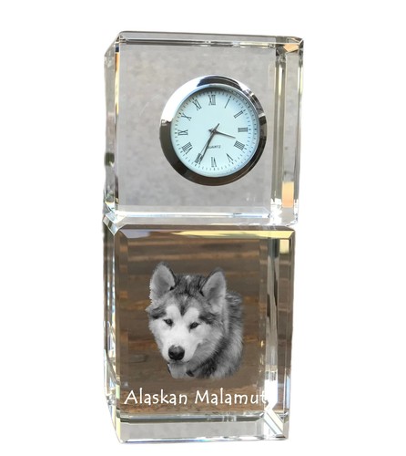 Malamute alaska montre en - malamute, d'alaska