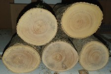 Pour tournage,  rondins buis