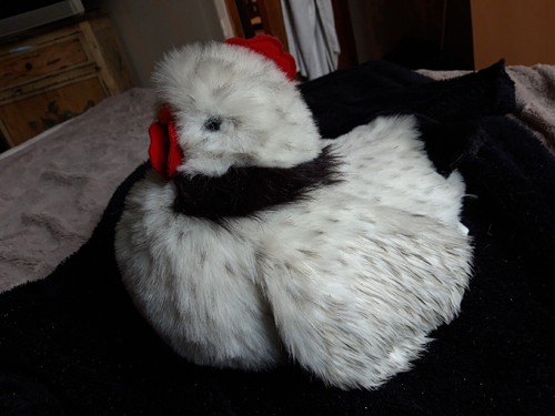 Dda peluche poule - dda/,