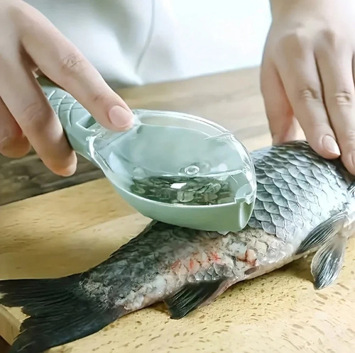 écailleur poisson outil - écailleur, à