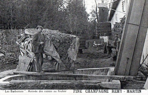 Cpa fine champagne remy - cpa,
