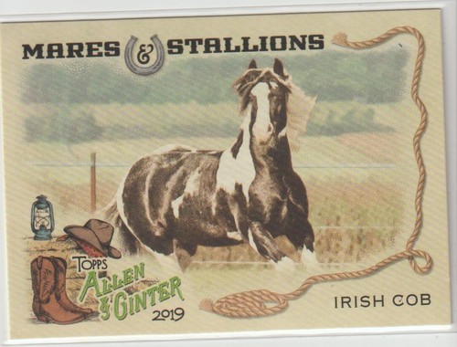 2019 topps allen ginter - allen, &