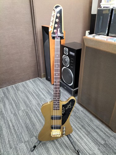 Guitare basse électrique