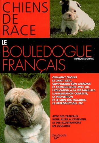 Bouledogue français - bouledogue,