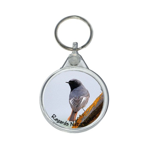 Porte clé photo oiseau