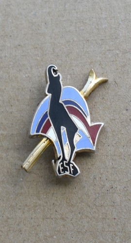 Rare bel insigne - rare,