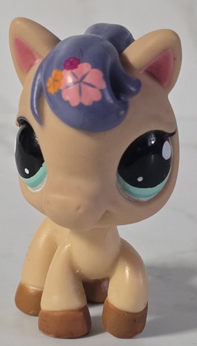 Lps little pet shop - little,