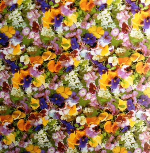 Nappe table toile cirée - en,