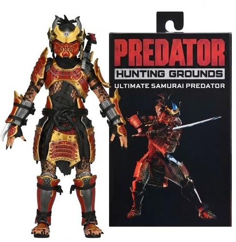 Predator hunting grounds - :,