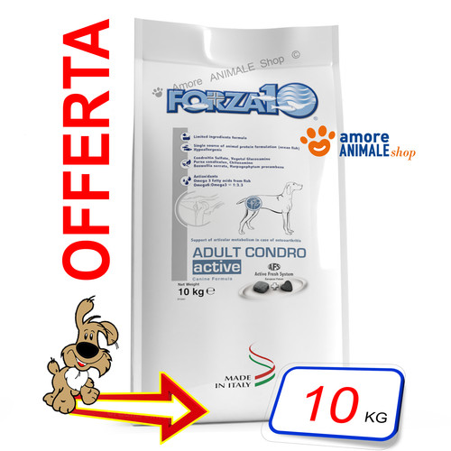 Forza10 chien active adult - active, →