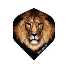 Lot de 5 jeux = 15 ailettes