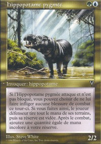 Hippopotame pygmée 133 - -, n°