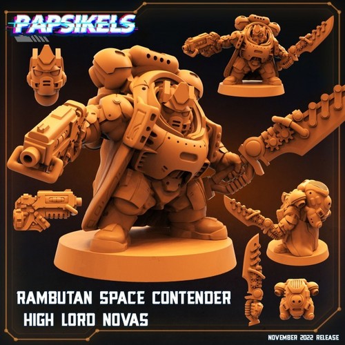 Rambutan space contender - contender, high