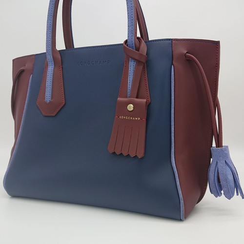Rare color longchamp - longchamp,