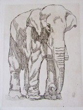 ELEPHANT ETCHING PAUL JOUVE CIRCA 1920'S FRANCE EX. COND.