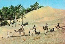 TUNISIE SAHARA CARAVANE