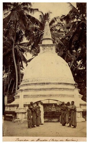 Ceylan sri lanka - ceylan,,