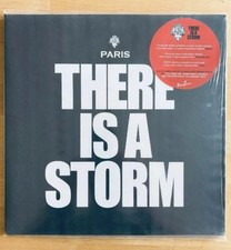 Disque vinyle 33T Paris There is a Storm édition limitée blue vinyl Poni Hoax