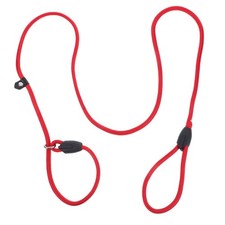  Laisse Apprentissage Chiot