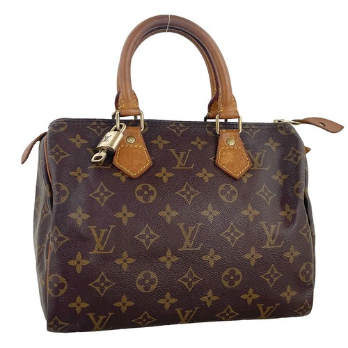 Sac main louis vuitton - main,