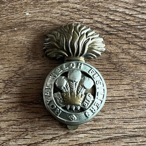 Insigne militaire n483 the - insigne,